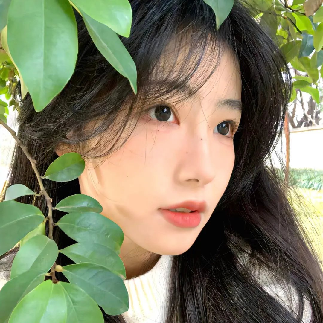 我是大明星